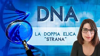 Il DNA che cosè come è fatto e a cosa serve [upl. by Dray]