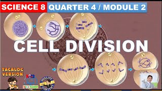 Cell Division  Mitosis and Meiosis Grade 8 Science Quarter 4 Module 2 [upl. by Imehon]