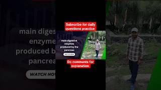 What Are The Main Digestive Enzymes Produced By The Pancreas  shortsfeed shortsvideo [upl. by Atsilac]