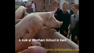 A look back at Wrotham School in 1963 [upl. by Almallah]