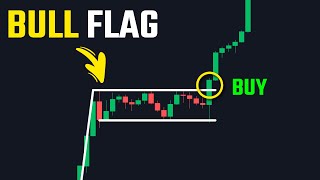 Trade Flags Like a Pro Introducing the Flag Finder Indicator [upl. by Ettolrahc]