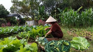 How I preserve a variety of vegetables without losing their freshness and cooking flavor [upl. by Ocinemod39]