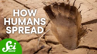 These Ancient Footprints Changed History as We Know It [upl. by Liponis45]