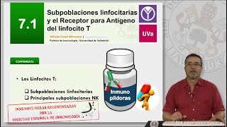 71 SUBPOBLACIONES LINFOCITARIAS Y EL RECEPTOR PARA ANTÍGENO DEL LINFOCITO T [upl. by Katuscha888]