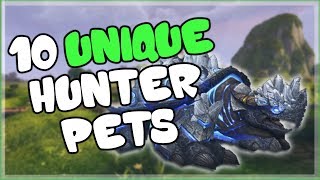 10 Unique and Cool Hunter Pets That ARENT Spirit Beasts for World of Warcraft [upl. by Neff594]