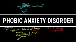 Phobic Anxiety Disorder in HindiUrdu TreatmentPsychiatry Lectures [upl. by Aehtla956]