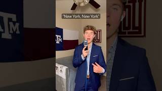 Frank Sinatra  New York New York cover🗽🎶 [upl. by Nahtnanhoj294]