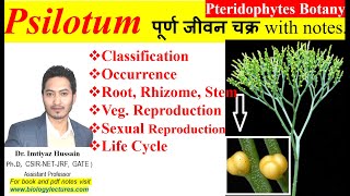 Psilotum life cycle morphology anatomy reproduction bscbotany pteridophytes 1stsemesterexam [upl. by Loralyn]