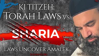 KI TITZEH Torah Laws Vs Sharia Laws Uncover Amalek  STUMP THE RABBI 216 [upl. by Pettifer442]