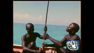 2018  Indian Ocean  North Sentinel Island  The Most Isolated Stone Age Tribe in the World  2311 [upl. by Mareld]