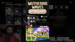 Verina BEST TEAMS  Wuthering Waves Beginners Guide [upl. by Elrem838]