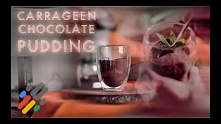 Irish Moss Chocolate Pudding Google Food Andris Ungurs [upl. by Anaili]