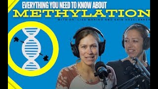 Everything you need to know about Methylation [upl. by Aifos]