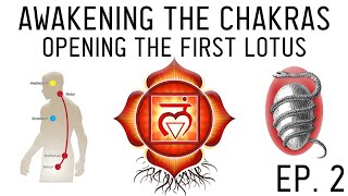 How to Awaken the Chakras Activate the Muladhara Root Chakra Ep 2 [upl. by Arni]