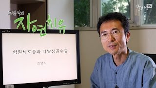 조병식의 자연치유 형질세포종과 다발성골수종의 치료핵심은 혈액정화  조병식 원장 [upl. by Stubstad704]