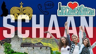 WHY YOU NEED TO VISIT SCHAAN  LIECHTENSTEIN [upl. by Bakemeier]