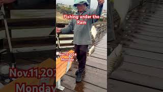 shorts Good CatchFishing even when it’s heavy rain fishing capitola [upl. by Tteragram]