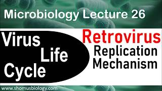 Retrovirus replication  virus life cycle [upl. by Elyod479]