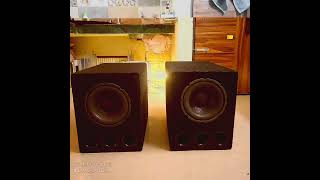 10 inch Subwoofer 200W RMS [upl. by Ansel389]