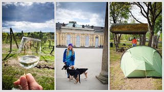 Werder Potsdam Sanssouci Berlin  wandern mit Zelt und Hunden 🐶🐕🏕️ [upl. by Xeno]