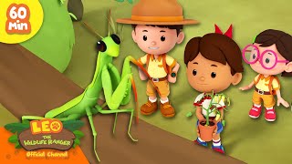 IS THAT AN ALIEN FROM MARS 👽  Interesting Insects  Leo the Wildlife Ranger  Kids Cartoon [upl. by Ardin]