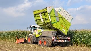 Claas Jaguar 900 Fieldshuttle  Loonwerken De Bruyne  mais 2013 [upl. by Philipa]