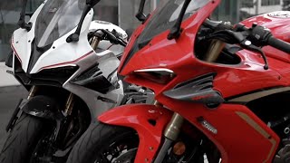 QJ MOTOR SRK 450RR NEW MODEL 2024 qjmotor superbike [upl. by Martainn]