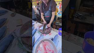 Fisher King Slice Yellowfin Tuna shorts fishcutting yellowfintuna [upl. by Gradeigh]