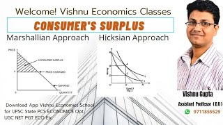 Consumer Surplus Economics in Hindi [upl. by Yvaht]