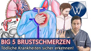 Brustschmerzen  Die Big 5 Die schlimmsten Ursachen amp Krankheiten bei Schmerzen in der linken Brust [upl. by Preston847]