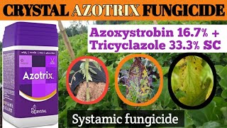 CRYSTAL AZOTRIX FUNGICIDE  azotrix fungicide  systamic fungicide [upl. by Akirret948]