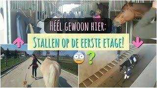 PAARDENSTALLEN OP ZOLDERIS DAT WEL VEILIG  VLOG 60 Jolanda Adelaar [upl. by Ellerud]