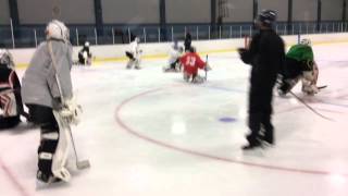 Goalie Training GoalieSpecific Power Skating [upl. by Holofernes]