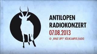 Antilopen Gang  quotWhat UpquotRadioshow Part 2  Konzert [upl. by Neenej]