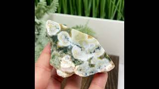 8th Vein Orbicular Sea Ocean Jasper Round Eye Bubble Natural Raw Crystal Specimen 188g [upl. by Jovi]