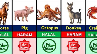 Halal and Haram Animal Meat in Islam [upl. by Cecile559]