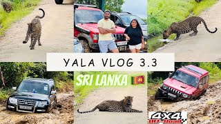 Vlog 35  Yala National Park 33  Leopard 🐆 offroad Drive  Yala Safari ​⁠Sri Lanka  Wild animal [upl. by Annohs]