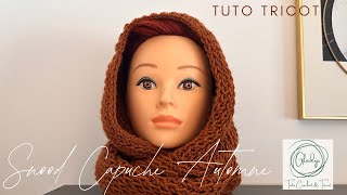 SNOOD CAPUCHE AUTOMNE  TUTO TRICOT [upl. by Liddy994]