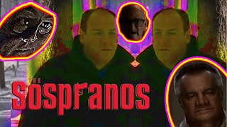 YTP The Sopranos  Paulie gets whacked [upl. by Volnay]