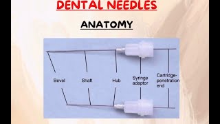 Needle anatomy local anesthesia part 1 [upl. by Pricilla231]