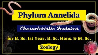 Phylum Annelida II General Characteristics II Zoology II B Sc Ist year B Sc Hons M Sc [upl. by Lahsiv]