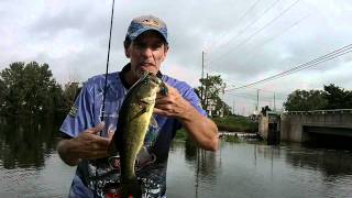 MILLSBORO POND DELAWARE BASS FISHING [upl. by Revned]