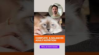 Transform Your Cats Health with IAMS Proactive Health Cat Food  Incredible Results [upl. by Gnouv]