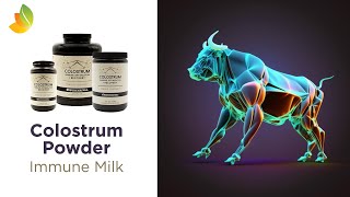 Colostrum  Immune Milk [upl. by Wimsatt]