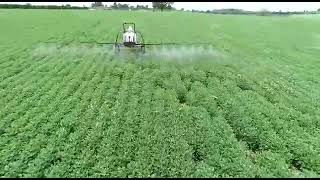 triciclo agrícola JC delta gafanhoto pulverizador adubadeira inovação maior rendimento [upl. by Anel]