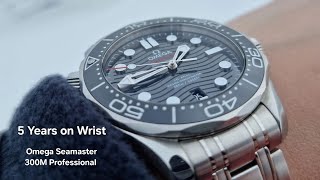 5 Year Beater Review in 5 Minutes  Omega Seamaster 300M Professional [upl. by Relyt890]