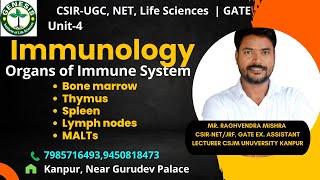 Organs of Immune System  Bone marrow Thymus Spleen Lymph nodes  Immunologygenesisinstitute [upl. by Arratahs]