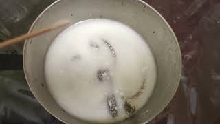 how to clean silver things [upl. by Licko]