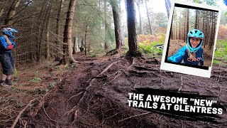 Glentress has NEW MTB trails and they are amazing  Scotland [upl. by Myrtice861]