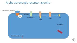 Nasal decongestant [upl. by Ainadi]